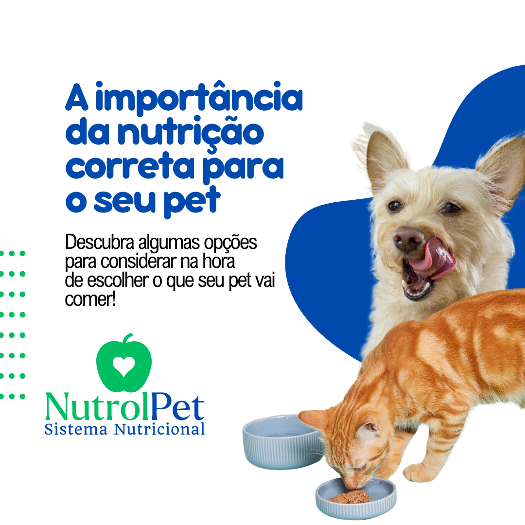 A importância da nutrição correta para o seu pet